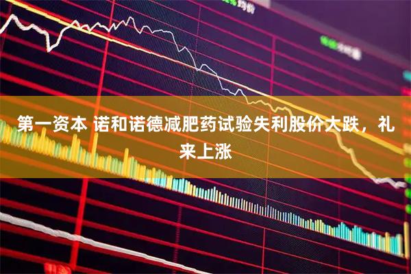 第一资本 诺和诺德减肥药试验失利股价大跌，礼来上涨
