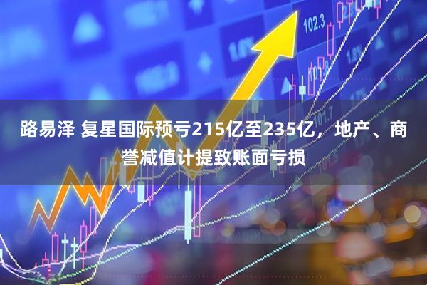 路易泽 复星国际预亏215亿至235亿，地产、商誉减值计提致账面亏损