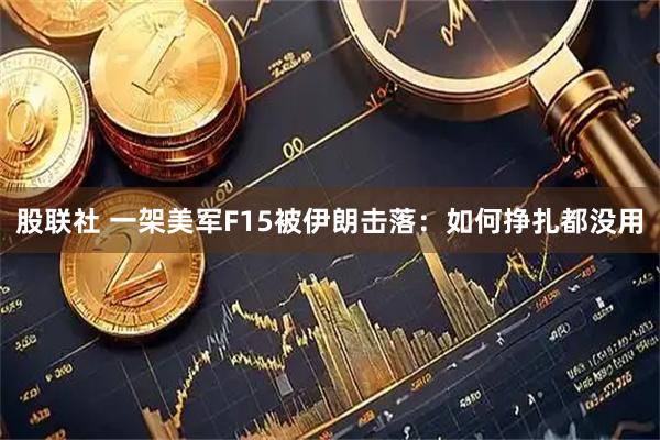 股联社 一架美军F15被伊朗击落:如何挣扎都没用