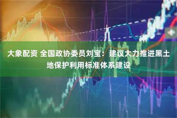 大象配资 全国政协委员刘宝：建议大力推进黑土地保护利用标准体系建设