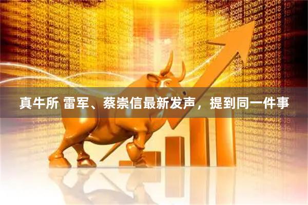 真牛所 雷军、蔡崇信最新发声，提到同一件事