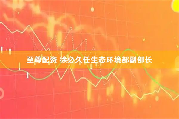 至尊配资 徐必久任生态环境部副部长