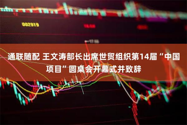 通联随配 王文涛部长出席世贸组织第14届“中国项目”圆桌会开幕式并致辞