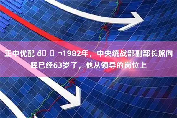 正中优配 🌬1982年，中央统战部副部长熊向晖已经63岁了，他从领导的岗位上