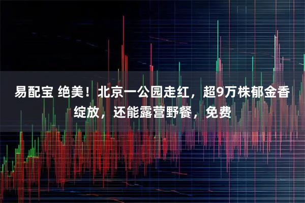易配宝 绝美！北京一公园走红，超9万株郁金香绽放，还能露营野餐，免费