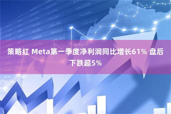 策略红 Meta第一季度净利润同比增长61% 盘后下跌超5%