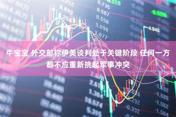 牛宝宝 外交部称伊美谈判处于关键阶段 任何一方都不应重新挑起军事冲突