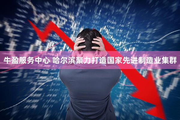 牛盈服务中心 哈尔滨聚力打造国家先进制造业集群