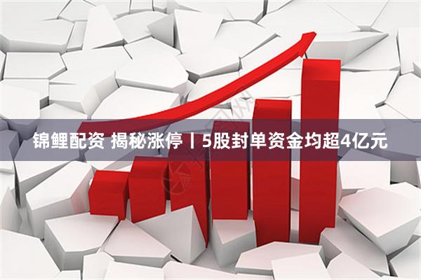 锦鲤配资 揭秘涨停丨5股封单资金均超4亿元